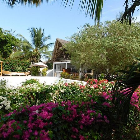 Dama Villa วาตามู ภายนอก รูปภาพ