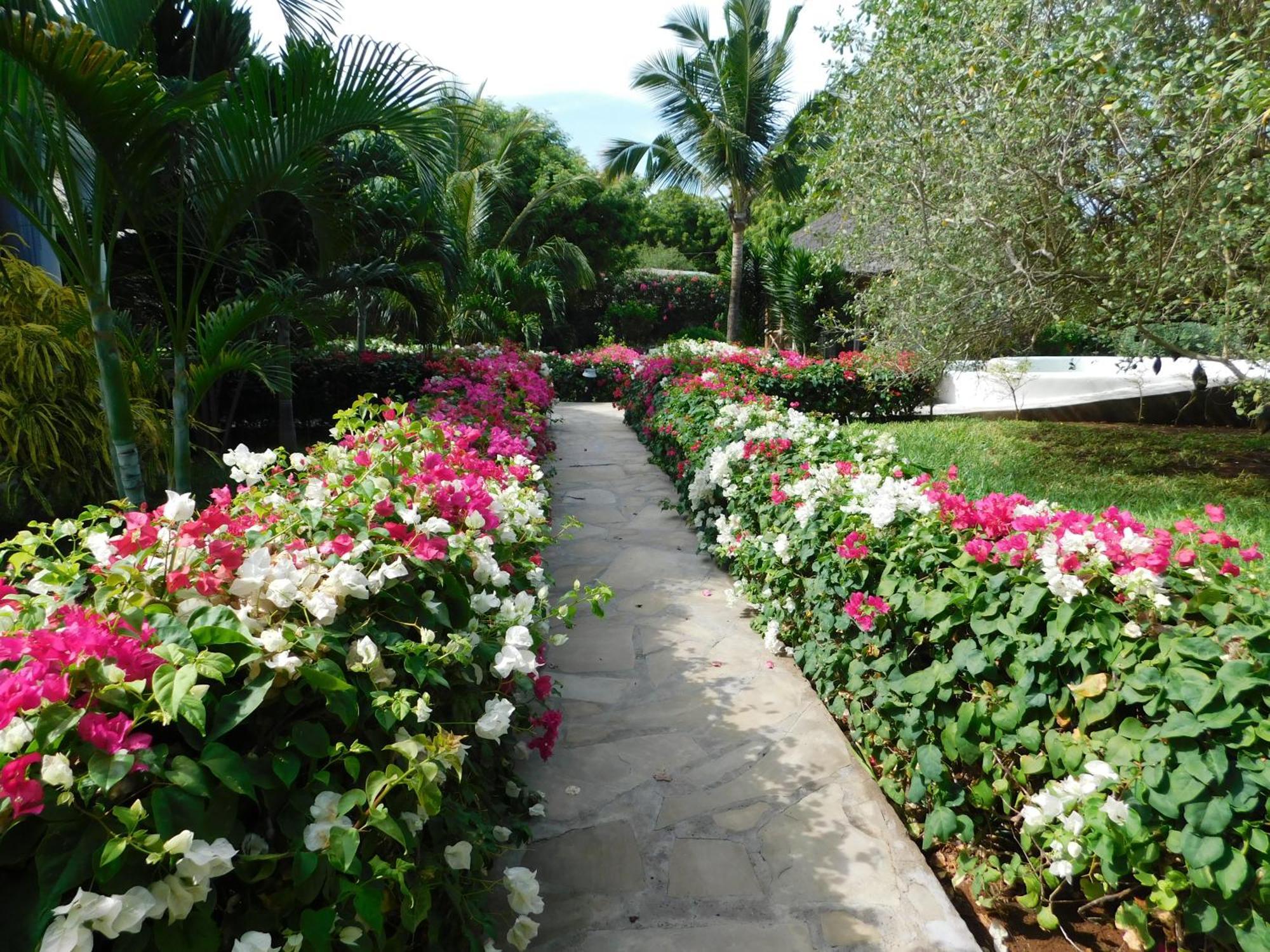 Dama Villa วาตามู ภายนอก รูปภาพ